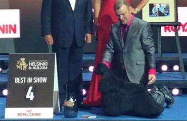 Dansk succes ved World Dog Show 2014