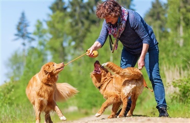 Kvinder gjorde hunde tamme