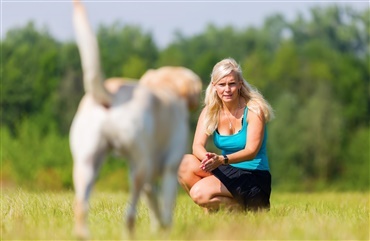 Coronasikker hundepr&oslash;ve p&aring; l&oslash;rdag