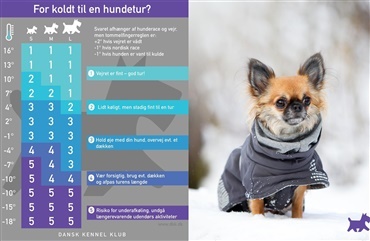 aldrig hund i kold bil - Hunden.dk