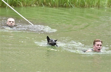 K9 Biathlon for alle” - det nye sort