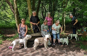 Terrier-g&aring;tur ved Moesg&aring;rd 