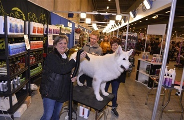 &Oslash;strand/Greendog viser samfundssind