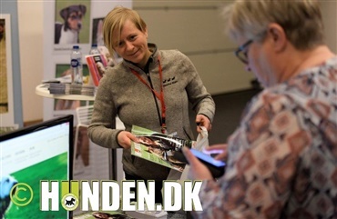 DKK: Det handler om synlighed