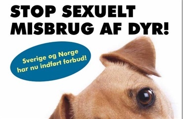 De danske dyreværnsforeninger står sammen: Nu skal det forbydes at have sex med dyr 