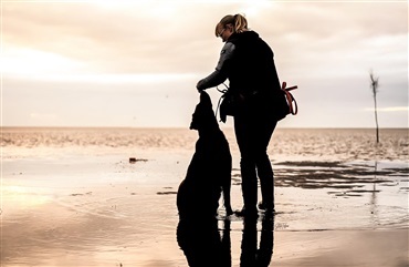 Sm&aring; sommerture med hund