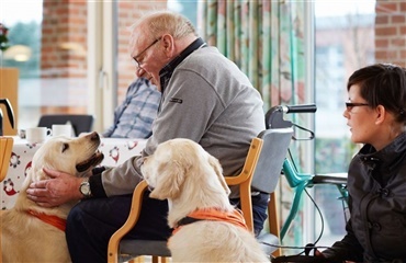 Hundene står i kø til jobbet som besøgshund i hele landet