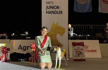 &Aring;rets juniorhandler for anden gang