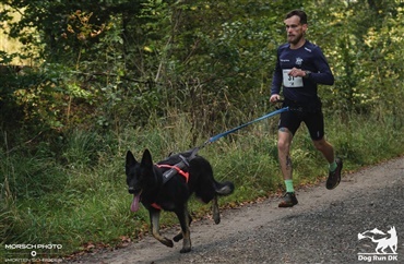 Dog Run DK kickstarter landsd&aelig;kkende l&oslash;bsserie