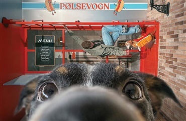Museum of Illusions til Vovsedag