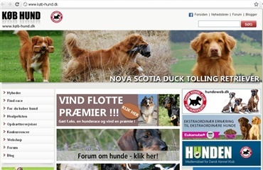 NY køb hund hjemmeside