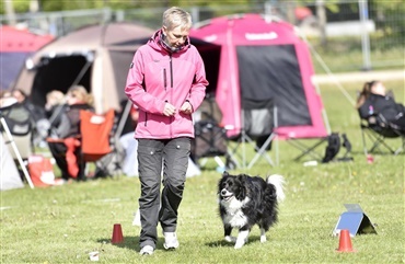 Roskilde 2019: Nordisk rally i Roskilde