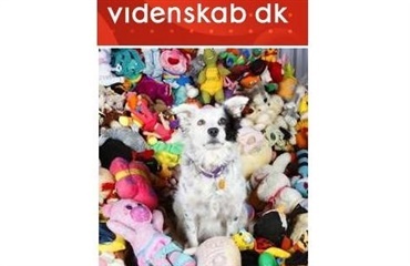 Når hunden er klogere end mennesket