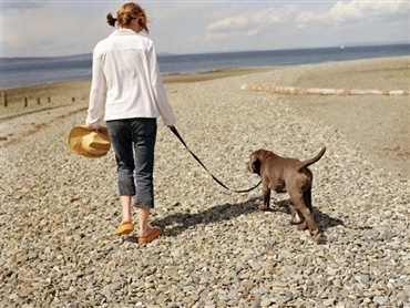Om lidt skal hunden i snor p&aring; stranden