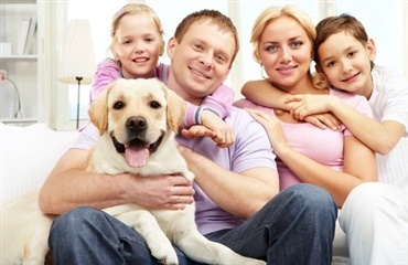 Undersøgelse cementerer, at hunden er den del af familien
