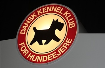 Hvordan får vi flest muligt sunde DKK-hunde?