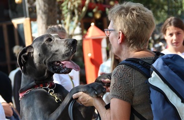 Se billederne: Hundens dag i Tivoli
