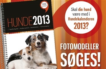 INGEN Hundekalender 2013