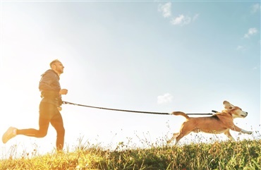 Clinics med hunde p&aring; Store Hestedag