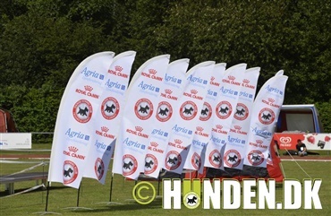 Fredagsquiz: Hvad ved du om Dansk Kennel Klub