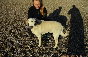 Politi efterlyser ejere til hund