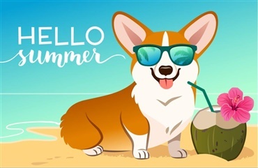 S&aring; er det sommertid