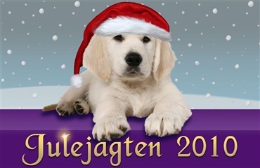 Fang HUNDENs julehund