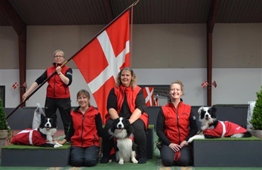 Nordens bedste til dog dancing blev fundet i Viborg