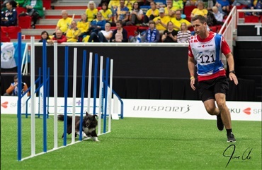 Ingen medaljer til Danmark i agility