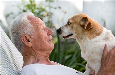 Hvor gammel er din hund i menneske&aring;r? 