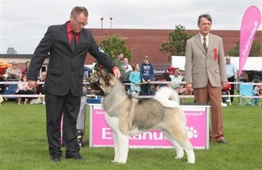 Eukanuba World Challenge 2011