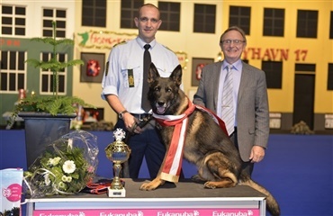 Årets politihund 2013