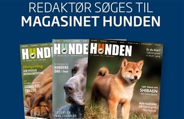 Redaktør søges til magasinet HUNDEN