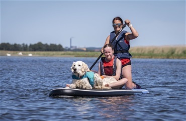 Guide til at starte med Stand Up Paddle