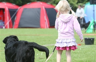 Hunden næsten lige så vigtig som barnet