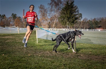 Historisk VM-succes for K9 Runners Mariager