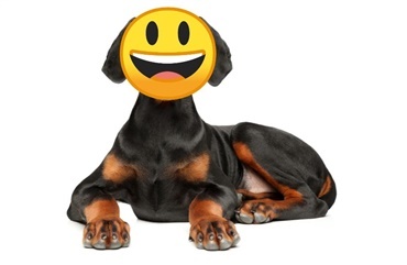 Unders&oslash;gelse: Smileyordningen