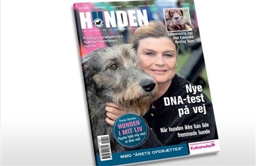 HUNDEN på gaden