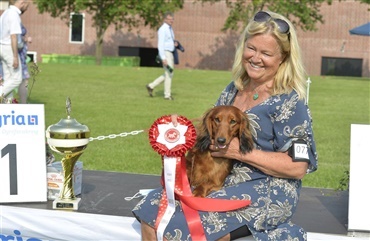 Debutant tog Best In Show