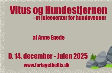 Vitus og hundestjernen - 14. December