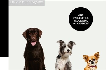 Vind dyrlægetjek, rådgivning og gavekort