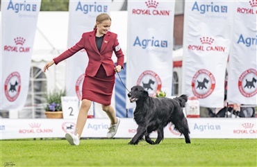 F&oslash;rste frist for tilmelding til Roskilde er mandag