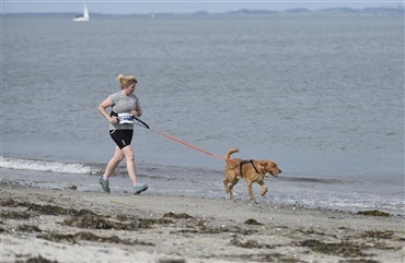 Slip hunden l&oslash;s p&aring; stranden