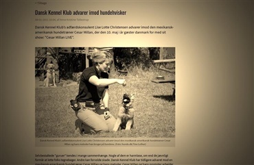 Gammel artikel om Cesar Millan hitter