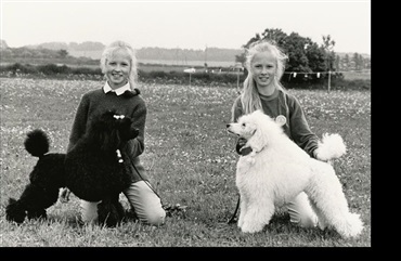 G&aring; p&aring; opdagelse i hundehistorien