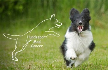 Hundesport Mod Cancer