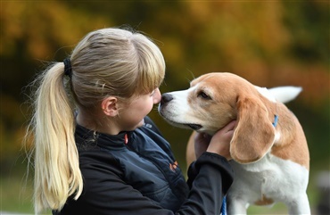 Hunden 11 kommer straks