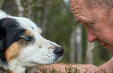 Hunde genkender onde mennesker