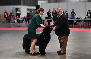 Wiegaarden er klar i Fredericia