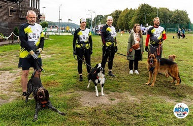 S&oslash;nderjysk hundel&oslash;b fik succes i Polen